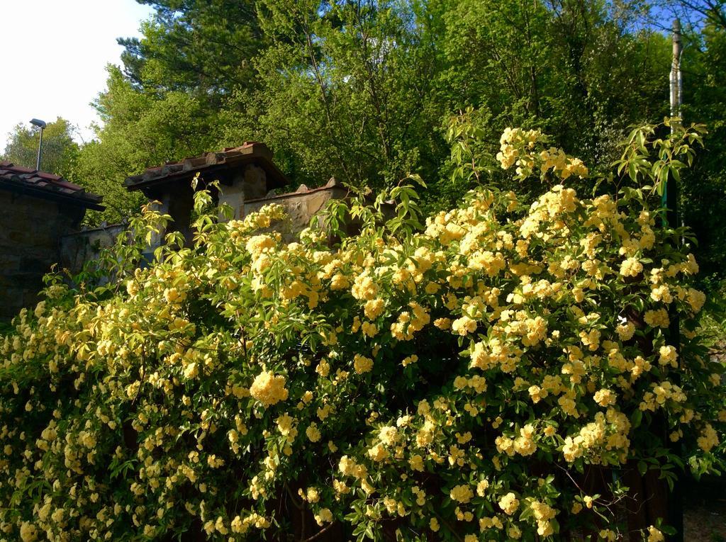 Bed Breakfast La Paggeria Trespiano Buitenkant foto